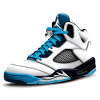 Nike Air Jordan 5