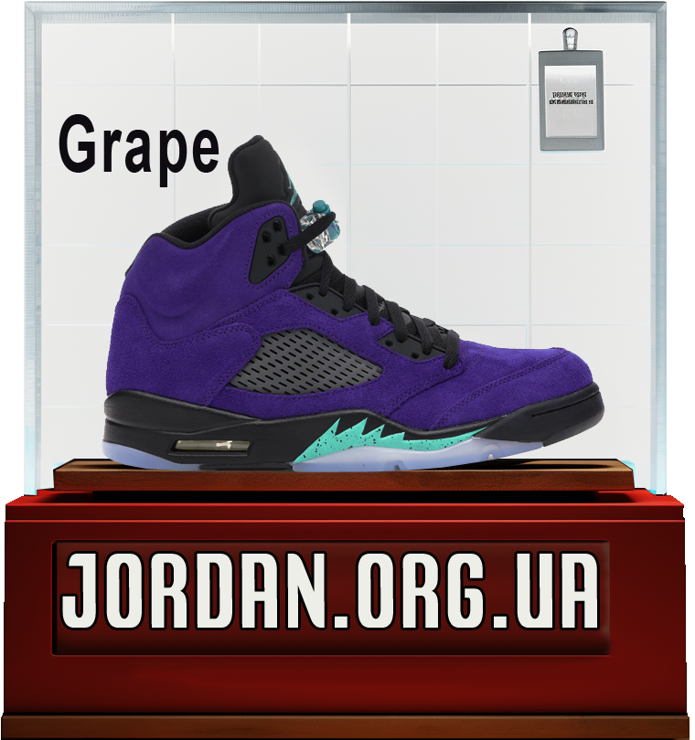 nike jordan 5 grape
