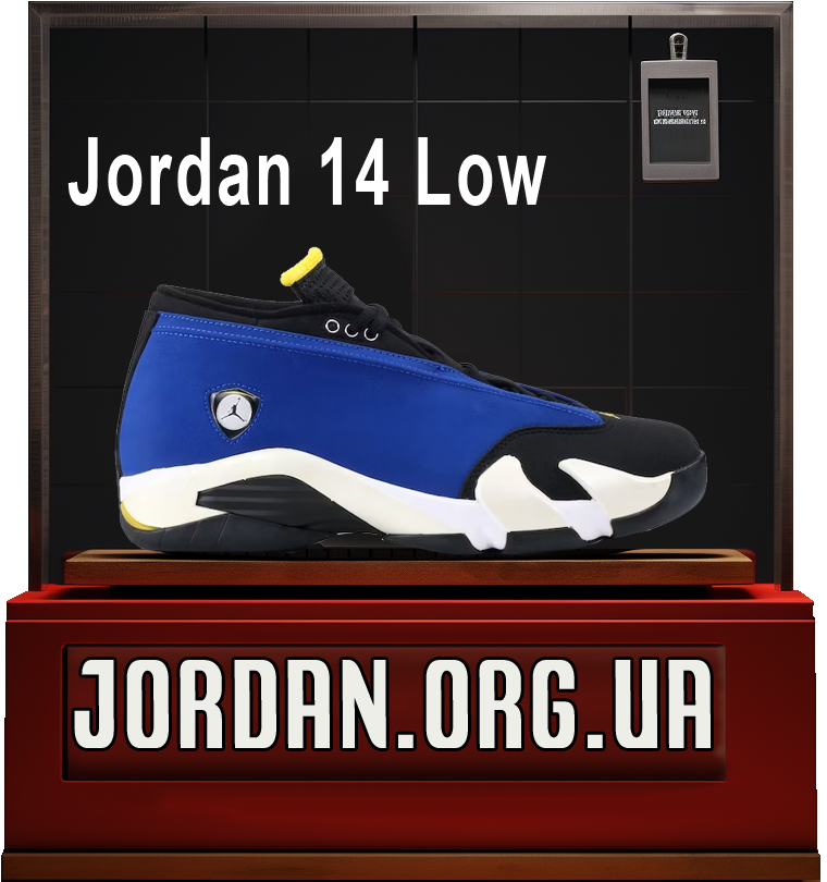 air jordan 14 low gs низькі
