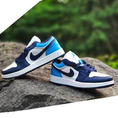 jordan 1 low blue
