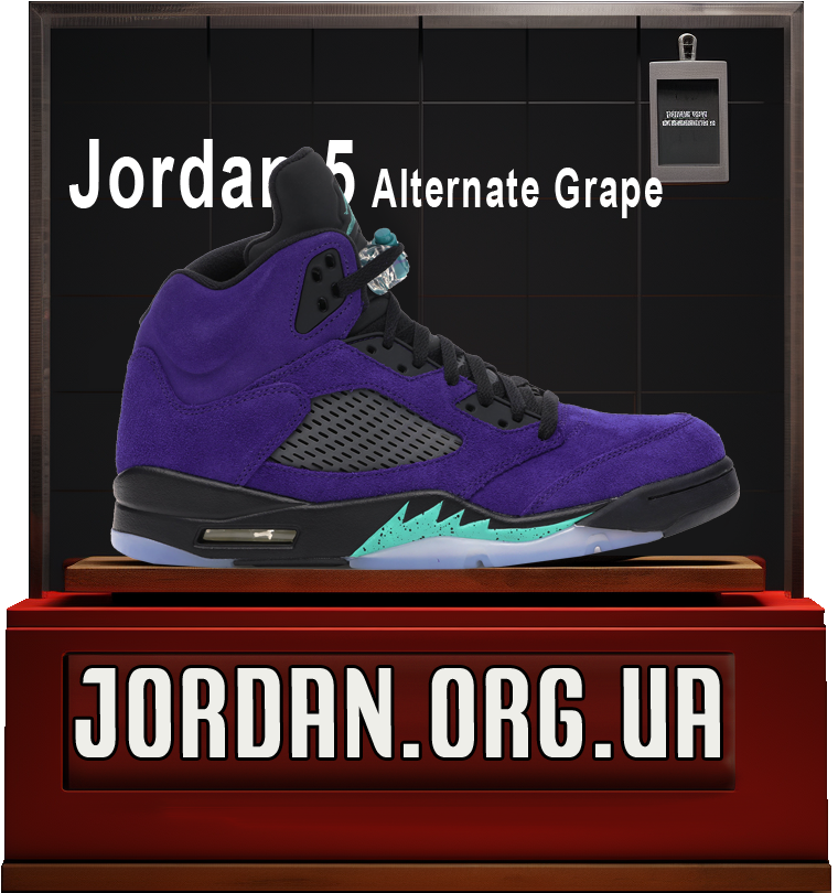 Air jordan 5 purple sneakers
