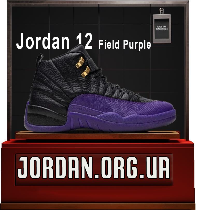 Nike Air Jordan 12 velvet purple